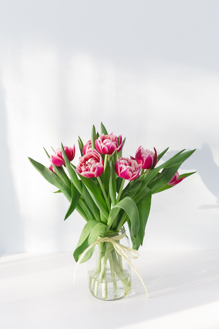 Proposals gallery 2